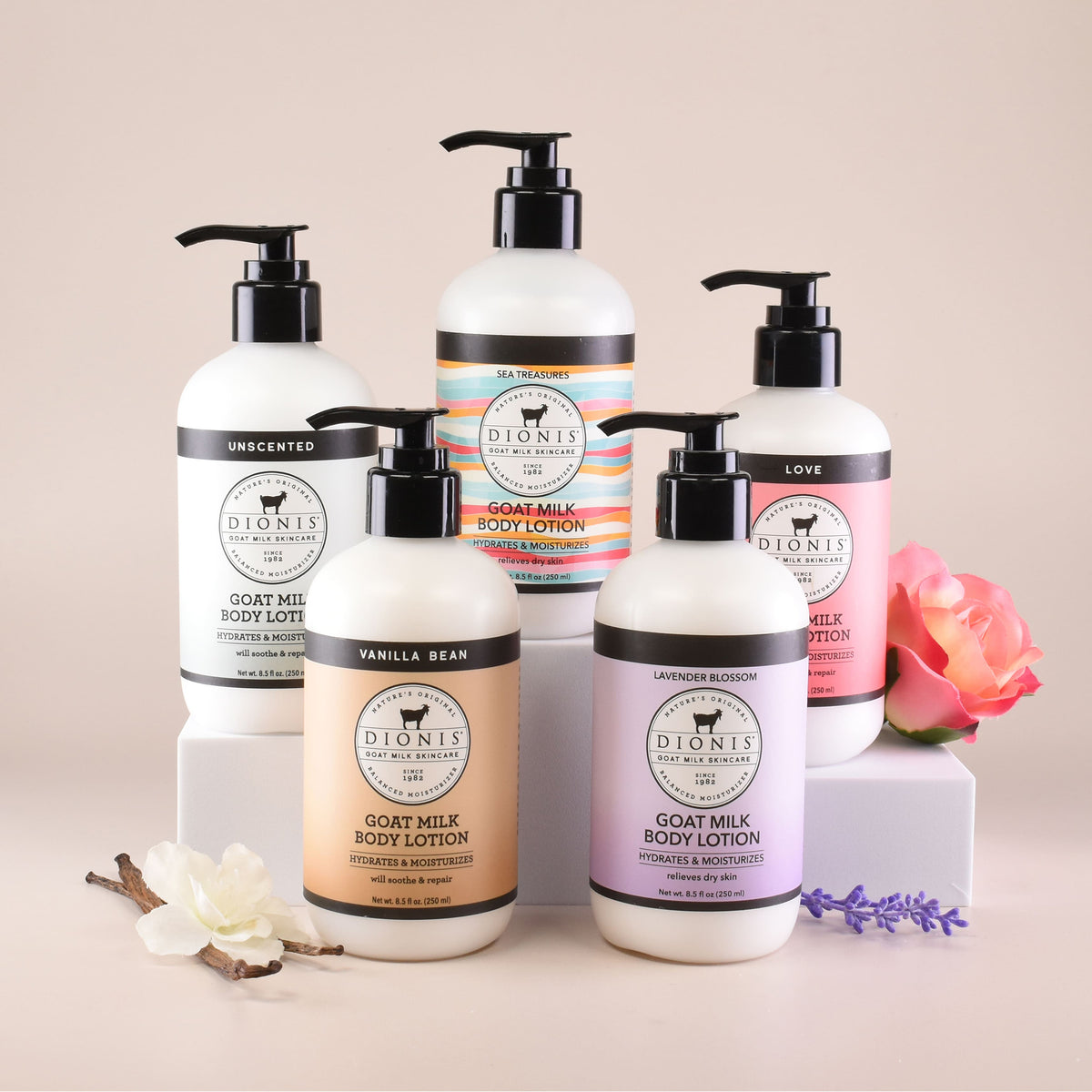 Five pump bottles of Dionis Goat Milk Body Lotion in different scents (Unscented, Vanilla Bean, Lavender Blossom, Sea Treasures, and Love) arranged on white pedestals with decorative flowers on a beige background.