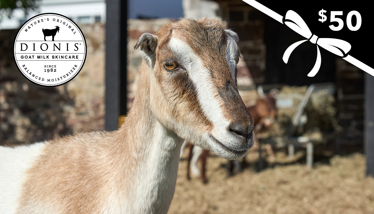 $50 gift card - Jasmine the Goat