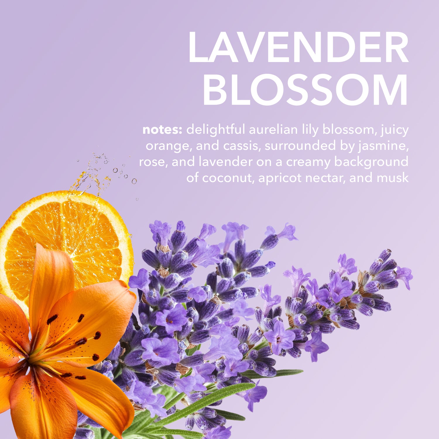 Lavender Blossom Goat Milk Travel Kit