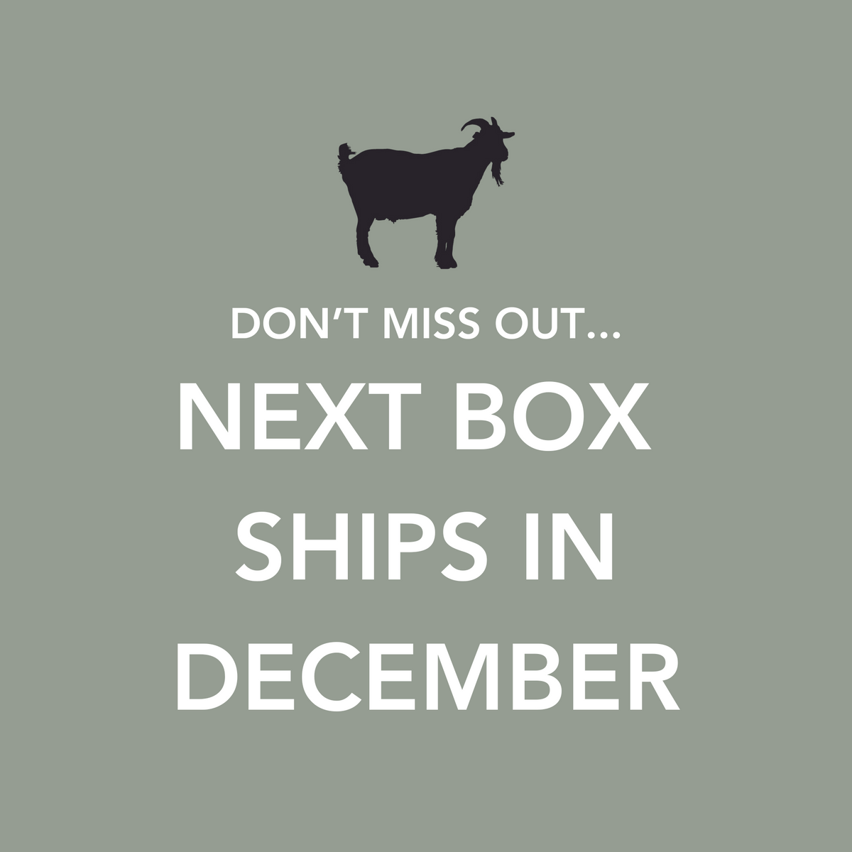 The next box ships in December.