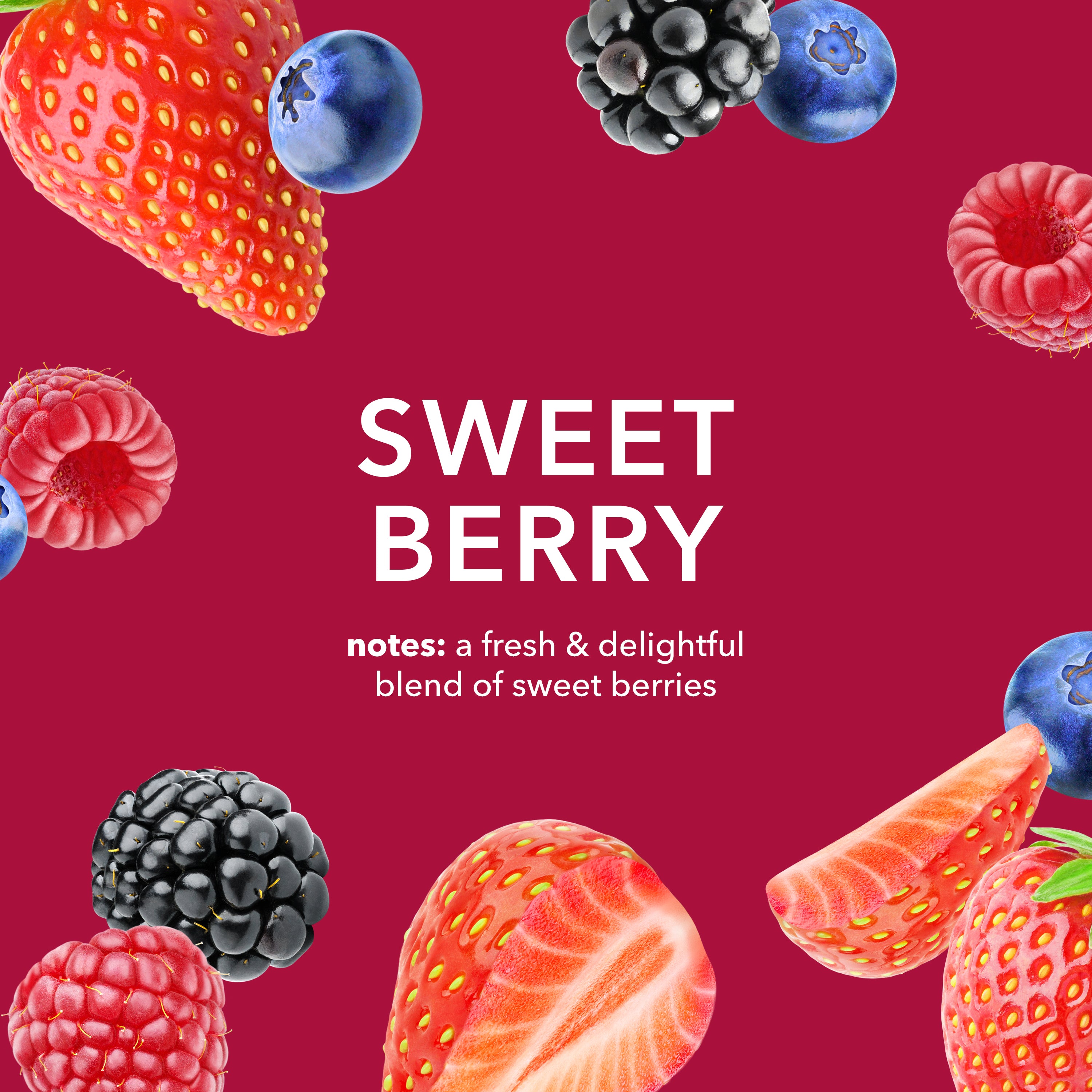 Sweet Berry Goat Butter Lip Kit