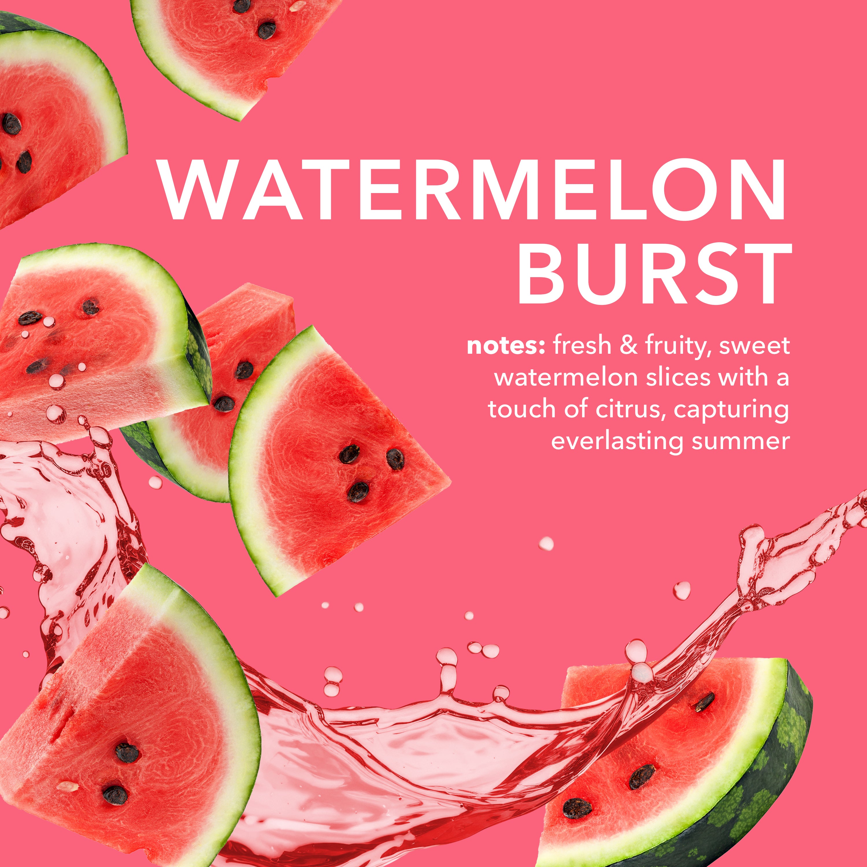 Watermelon Burst Goat Butter Lip Kit