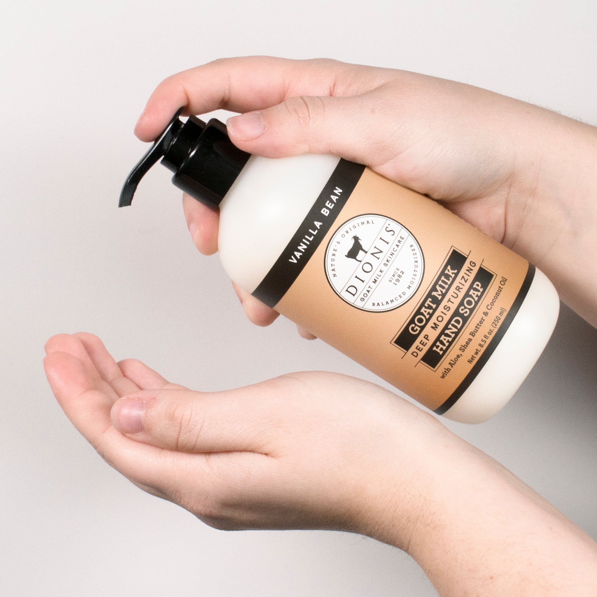 Vanilla Bean Hand Soap & Lotion Set
