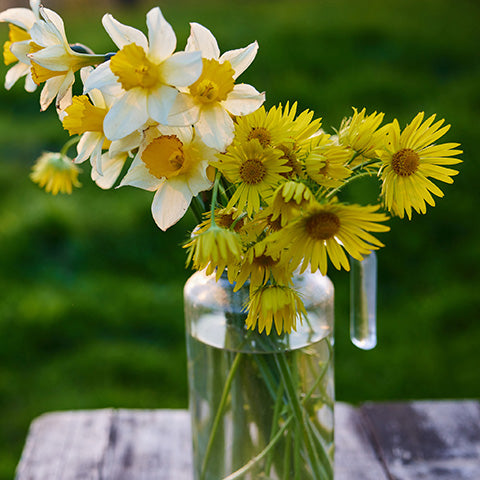 The Art of Scent: Exploring Fragrances and What People Gravitate To โข Dionis Goat Milk Skincare