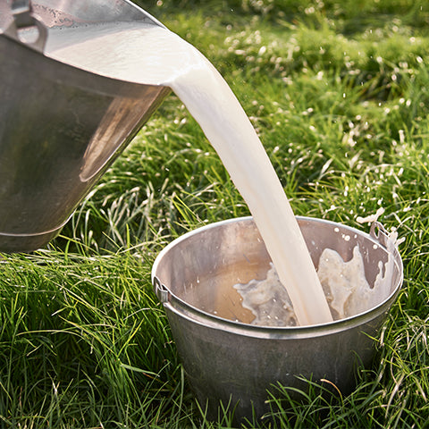 Goat Milk Skincare Products