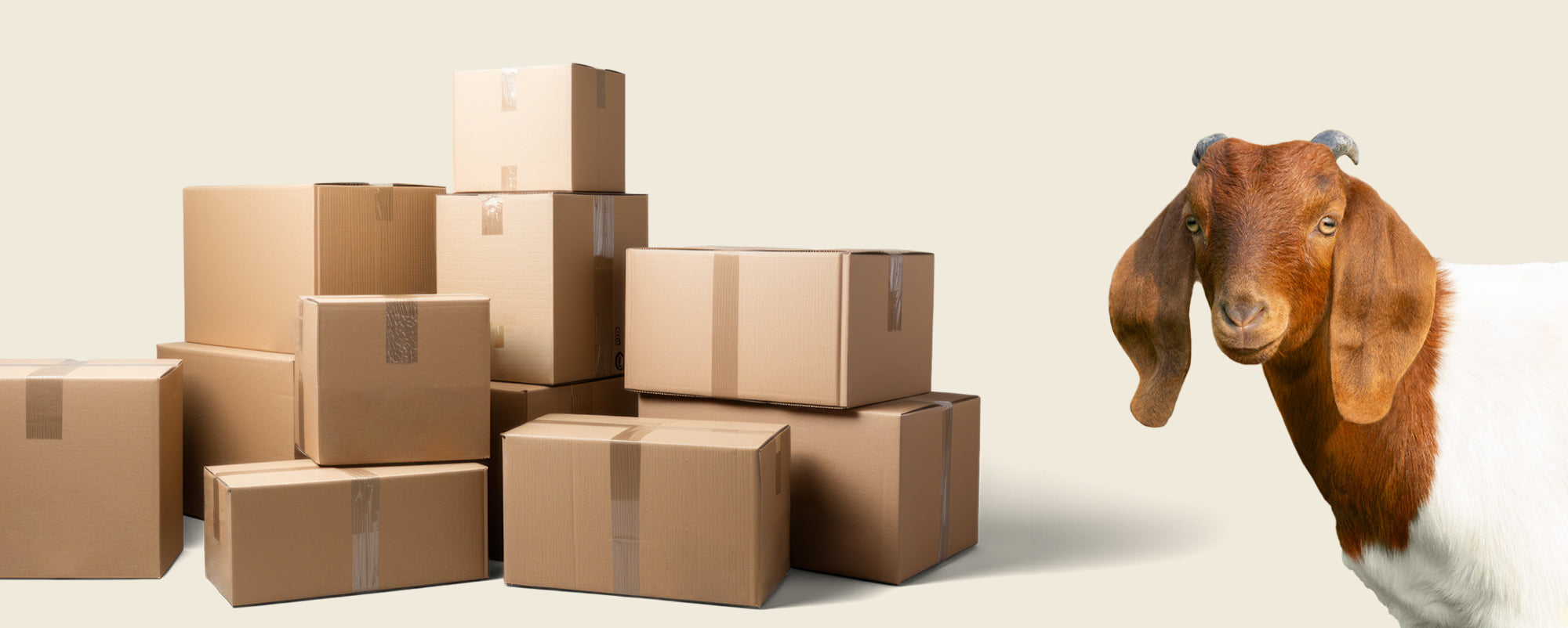 ANNUAL WAREHOUSE SALE