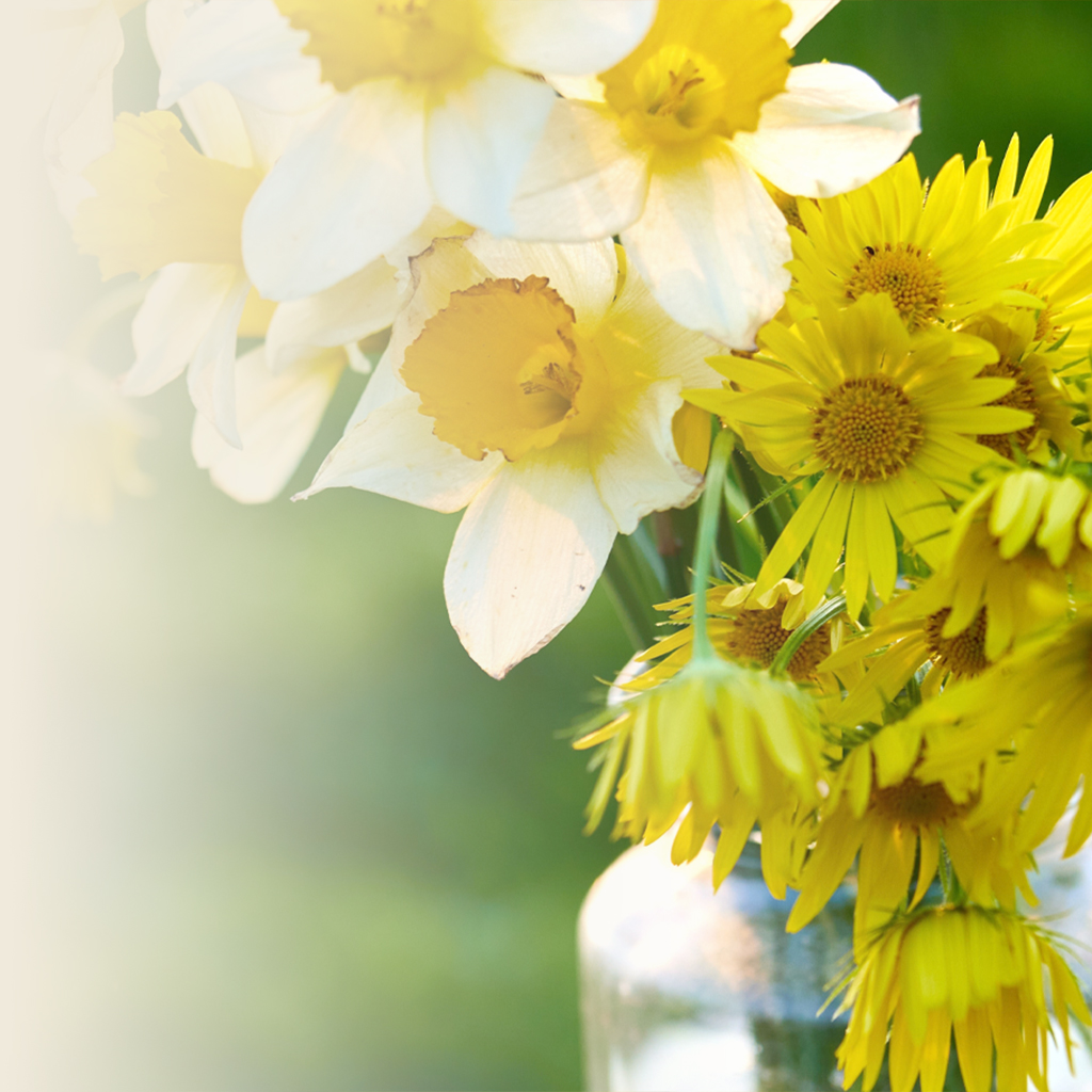 FLORAL • Dionis Goat Milk Skincare