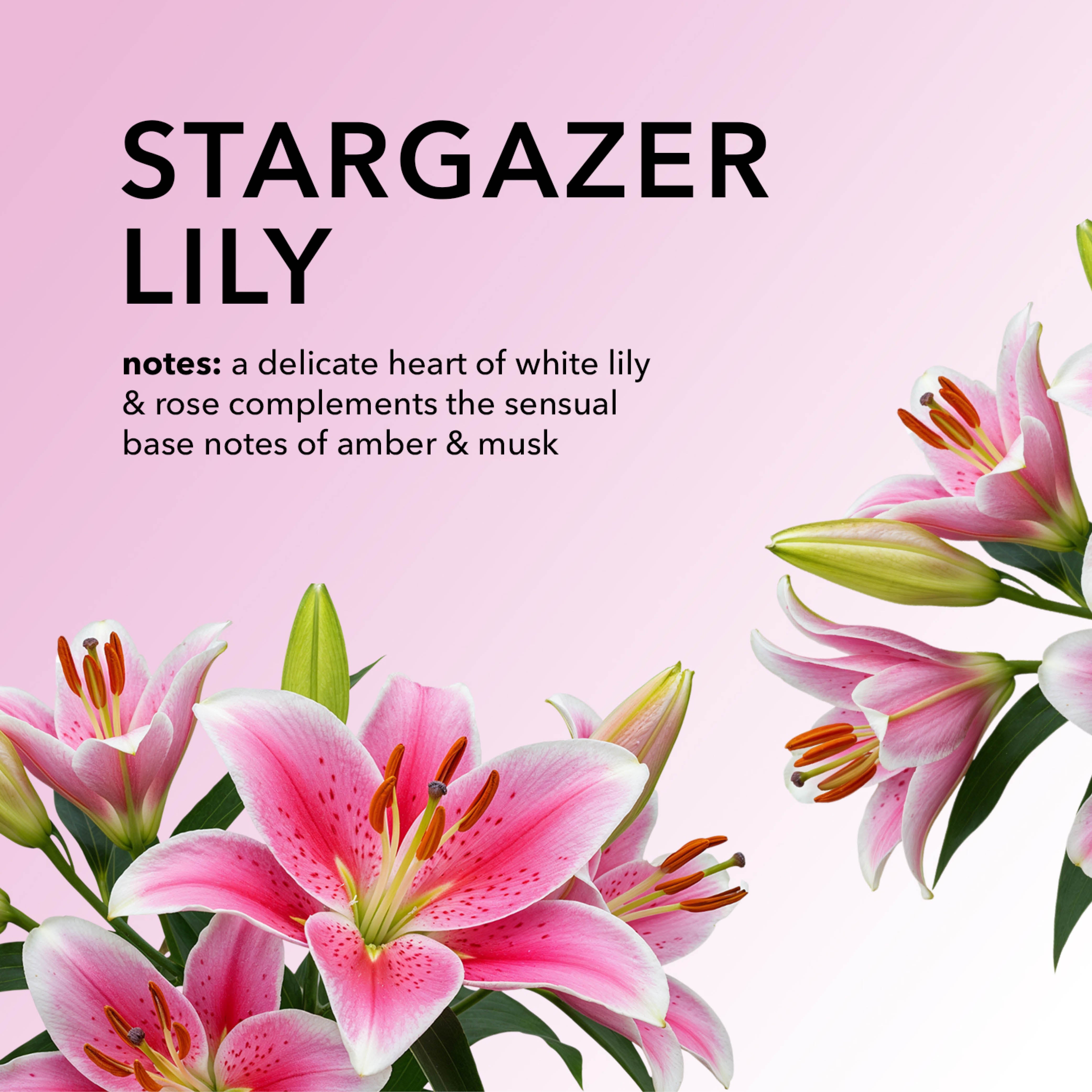 Stargazer Lily Fragrance Notes: A delicate heart of white lily & rose complements the sensual base notes of amber & musk.