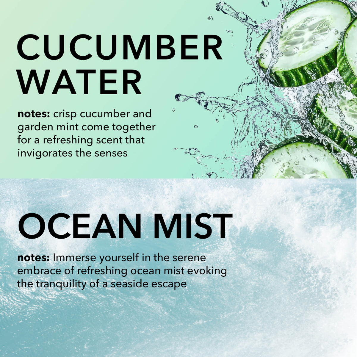 Cucumber Water Fragrance Notes: Crisp cucumber and garden mint come together for a refreshing scent that invigorates the senses.

Ocean Mist Fragrance Notes: Immerse yourself in the serene embrace of refreshing ocean mist evoking the tranquility of a seaside escape. 
