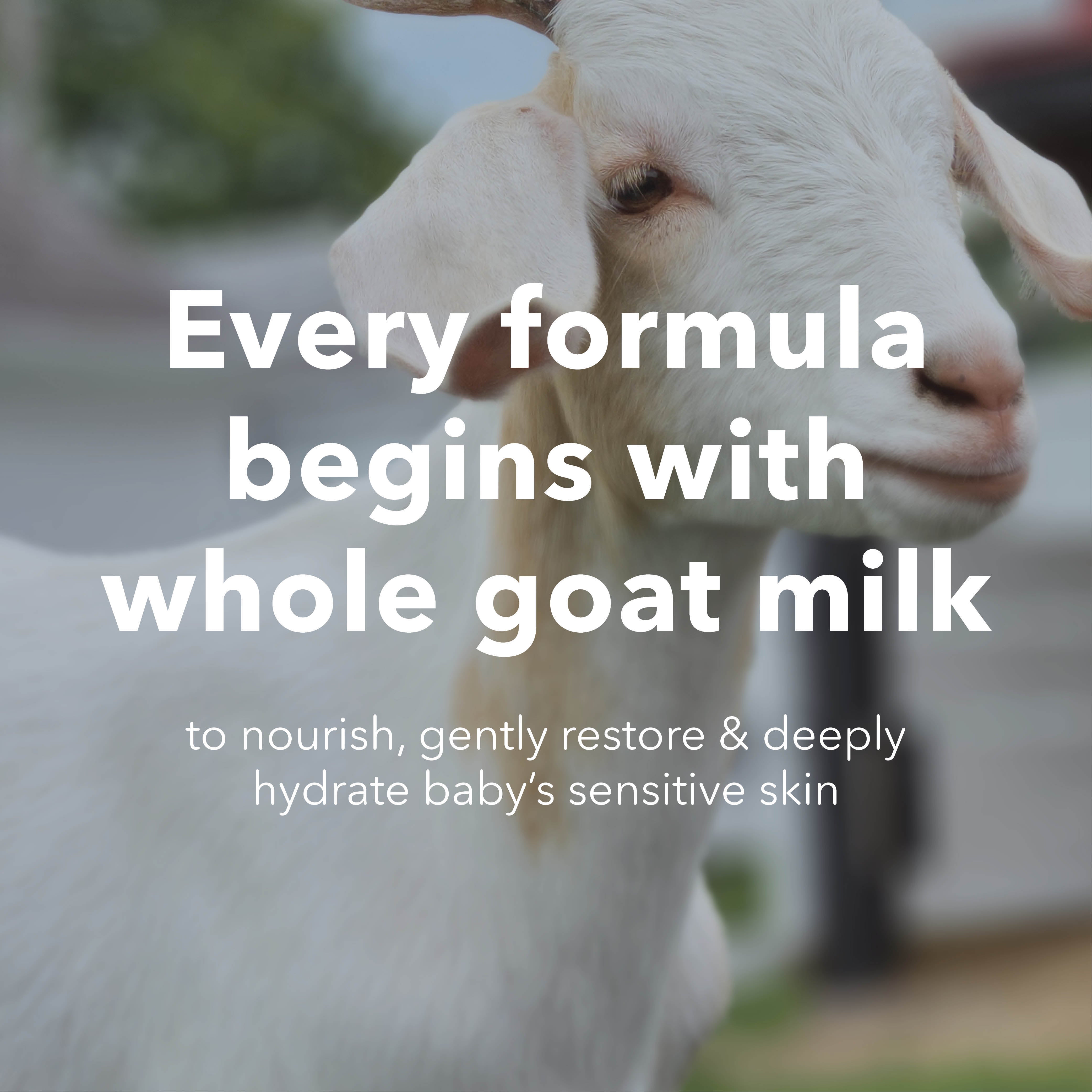 A close-up photo of a white goat with large ears and soft fur, overlaid with the text 'Every formula begins with whole goat milk to nourish, gently restore & deeply hydrate baby's sensitive skin'.