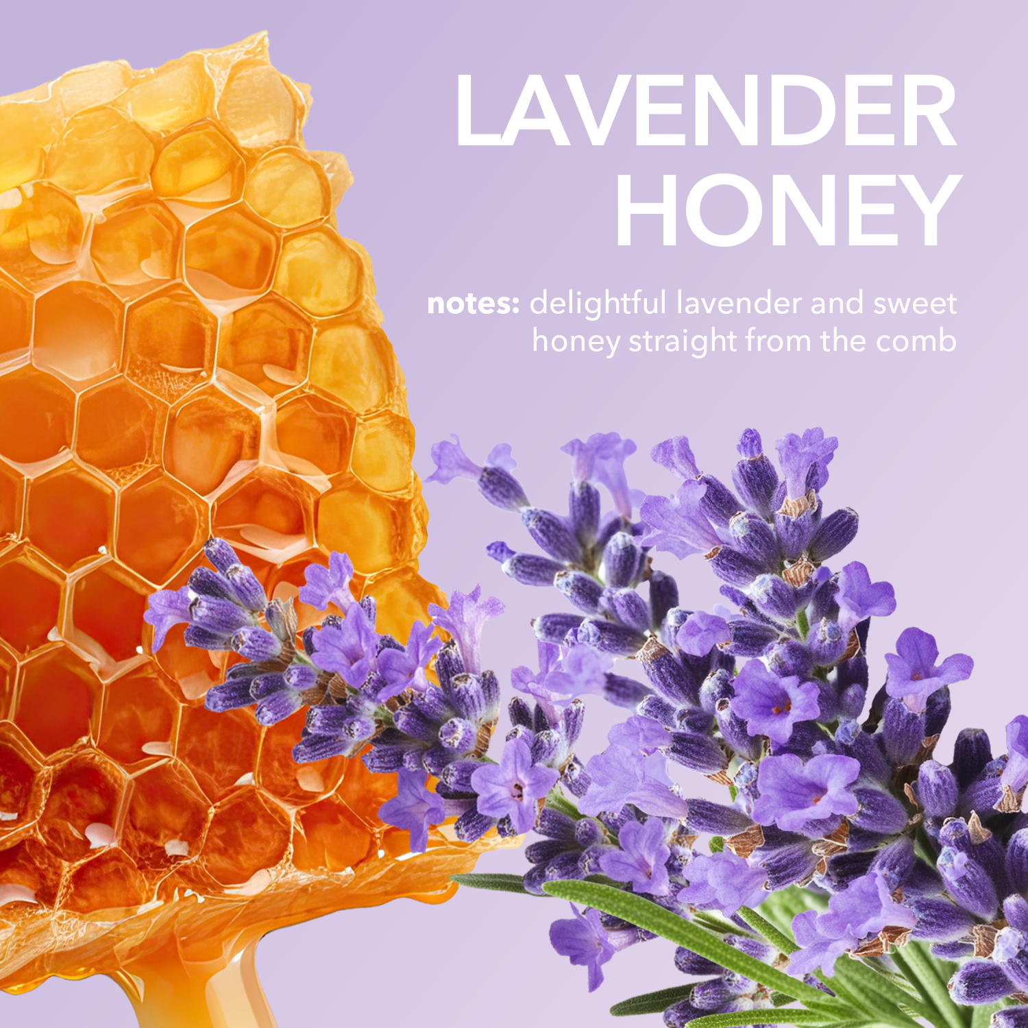 Lavender Honey Goat Milk Lip Balm, Set of 3