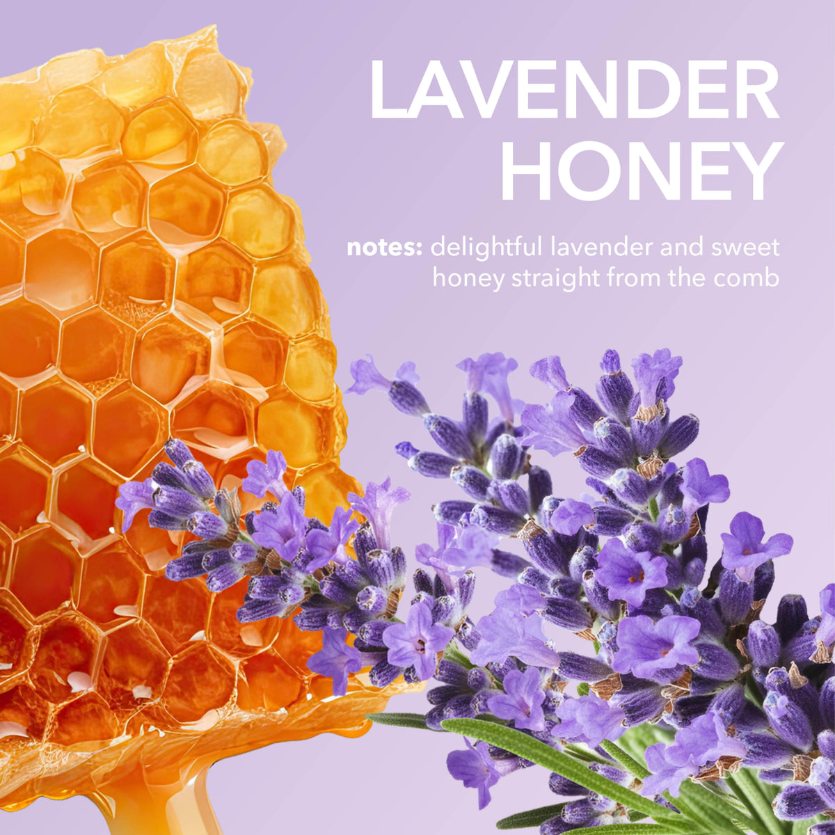 Lavender Honey Fragrance Notes: Delightful lavender and sweet honey straight from the comb.