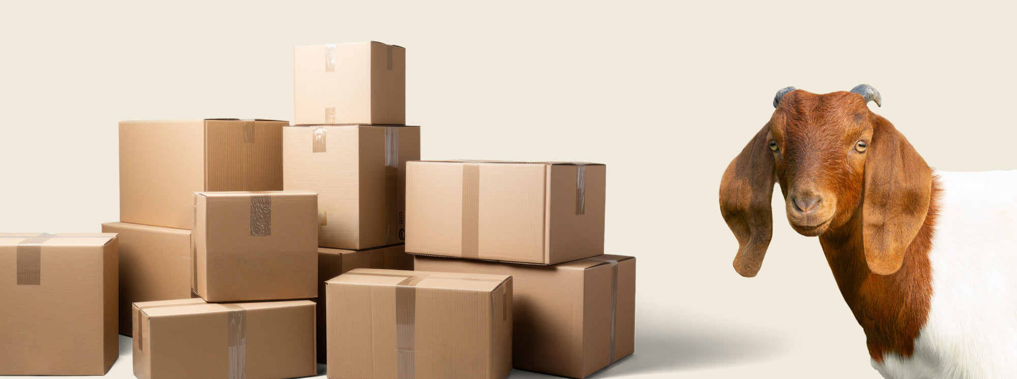 Warehouse Sale Header featuring a stack of shipping boxes on the left and a goat on the right.
