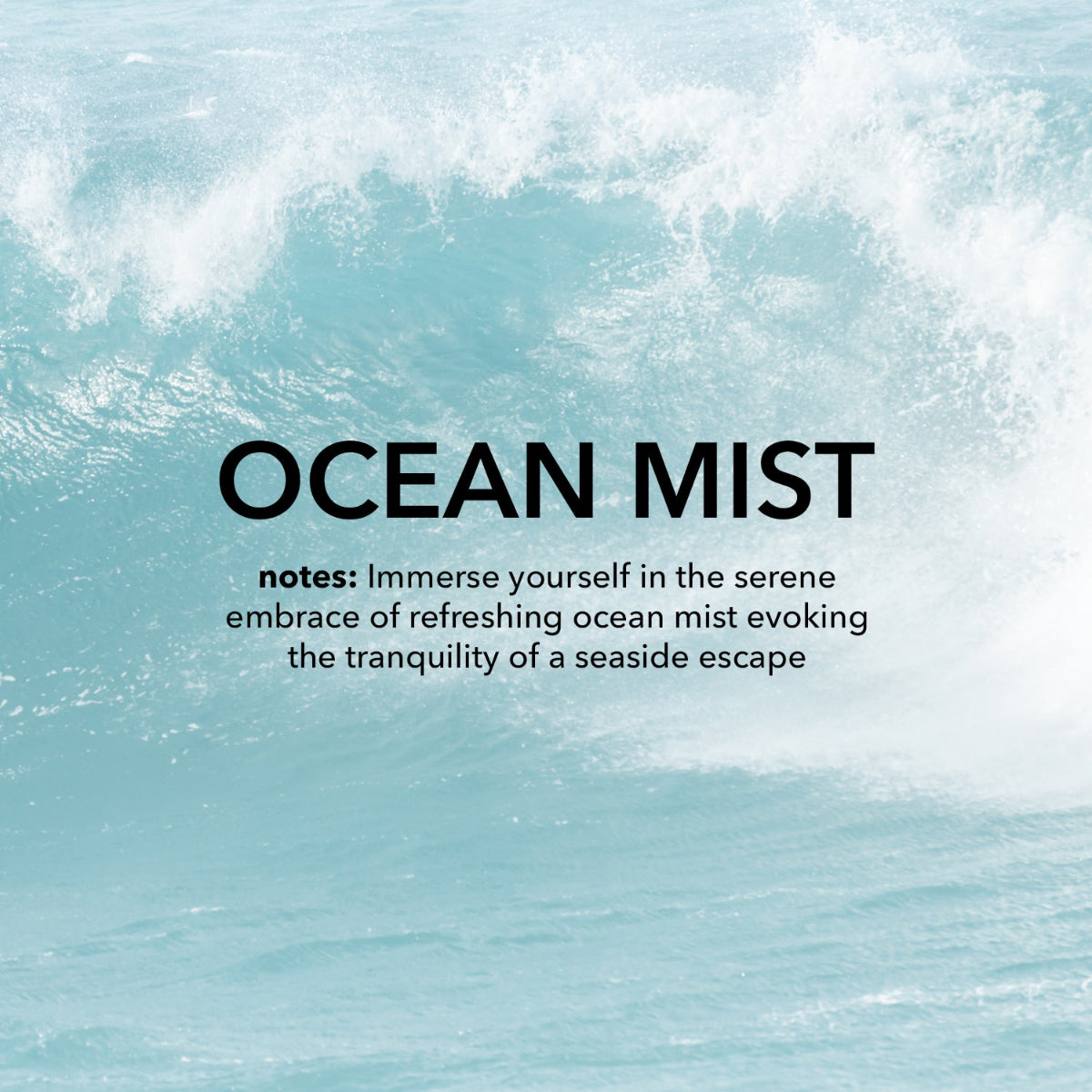 Ocean Mist fragrance notes: Immerse yourself in the serene embrace of refreshing ocean mist evoking the tranquility of a seaside escape