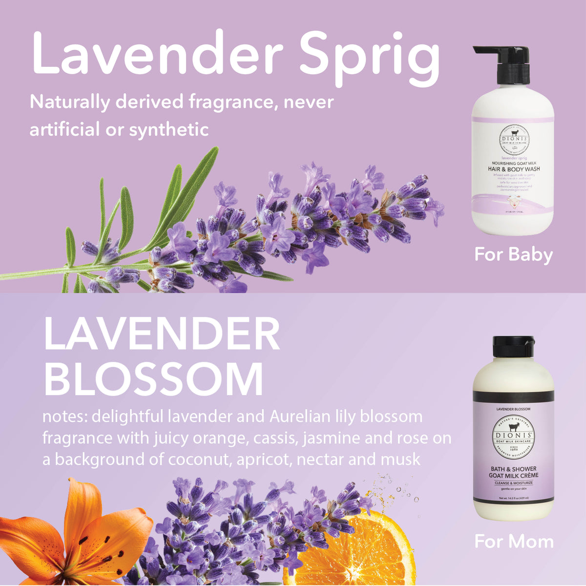 Fragrance Notes

Lavender Sprig - Hair & Body Wash (for baby): Naturally derived fragrance, never artificial or synthetic.

Lavender Blossom - Bath & Shower Goat Milk Creme (for adult): Delightfully lavender and Aurelian lily blossom fragrance with juicy orange, cassis, jasmine and rose on a background of coconut, apricot, nectar and musk.