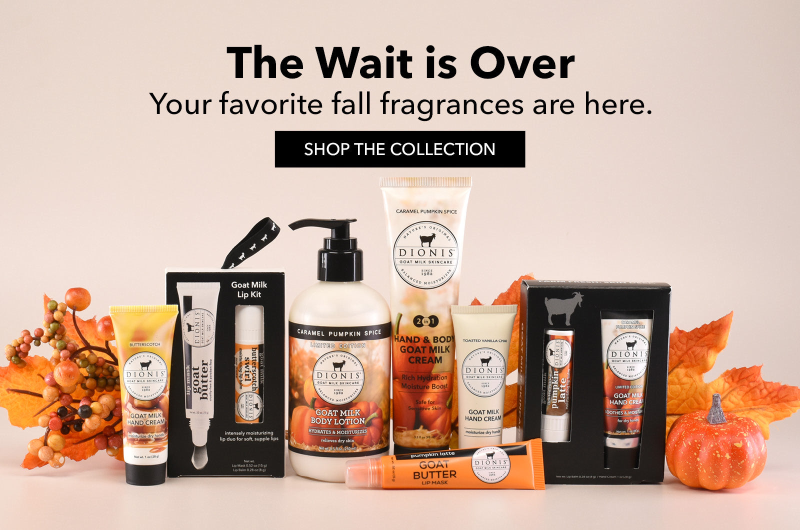 A fall fragrance collection display with multiple Dionis goat milk scented products, including hand creams, lotions, lip products and more, arranged with autumn leaves, pumpkins, and the text 'The Wait is Over - your favorite fall fragrances are here. - shop the collection' on a beige background.