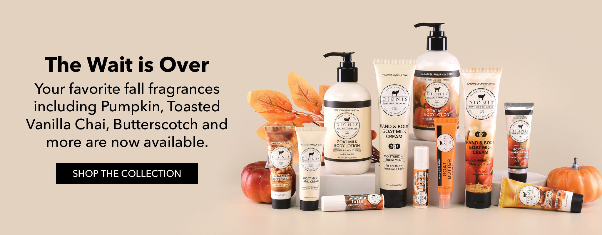 The Wait Is Over

Your favorite fall fragrances including Pumpkin, Toasted Vanilla Chai, Butterscotch and more are now available.

Shop The Collection

To the right of the text, an image of multiple Dionis products including lotions, lip balms, lip masks, hand creams and more are arranged with pedestals and props including pumpkins and fall colored leaves.