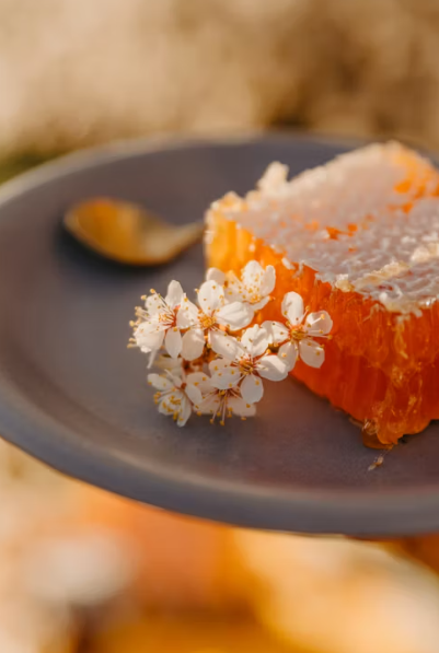 Honeycomb on a plate with a small white flower